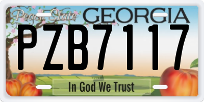 GA license plate PZB7117