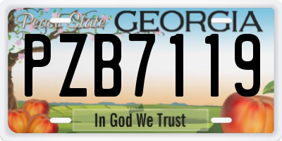 GA license plate PZB7119