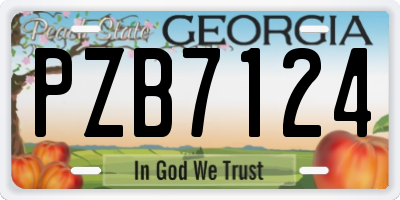GA license plate PZB7124