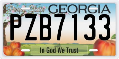 GA license plate PZB7133