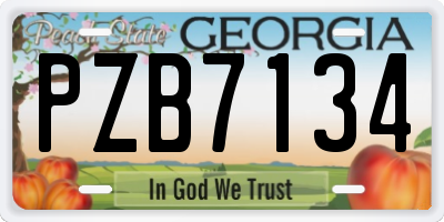 GA license plate PZB7134