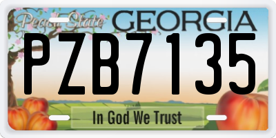 GA license plate PZB7135