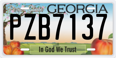 GA license plate PZB7137