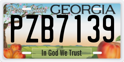 GA license plate PZB7139