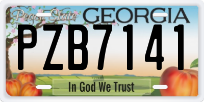 GA license plate PZB7141