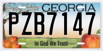 GA license plate PZB7147