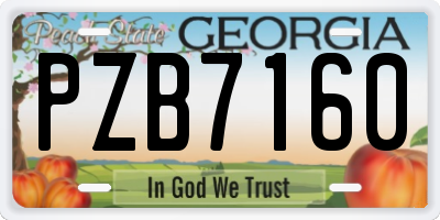 GA license plate PZB7160