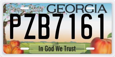 GA license plate PZB7161