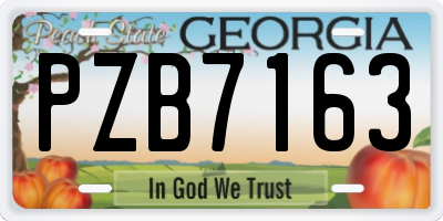 GA license plate PZB7163