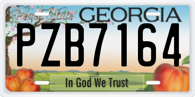 GA license plate PZB7164