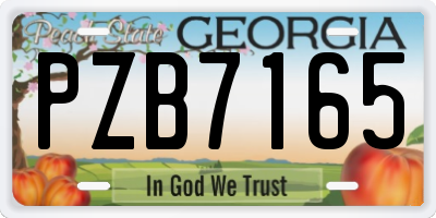GA license plate PZB7165