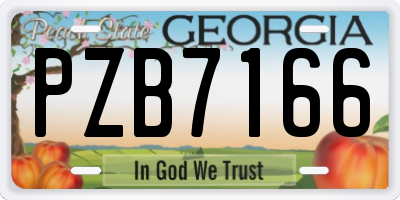 GA license plate PZB7166