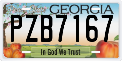 GA license plate PZB7167