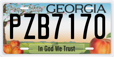 GA license plate PZB7170