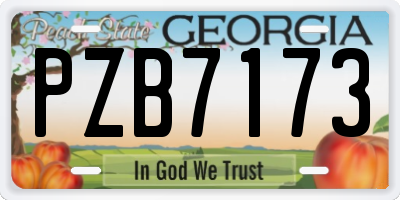 GA license plate PZB7173