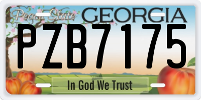 GA license plate PZB7175