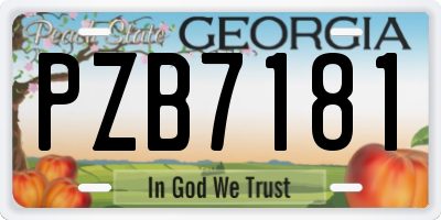 GA license plate PZB7181