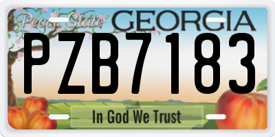 GA license plate PZB7183