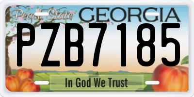 GA license plate PZB7185