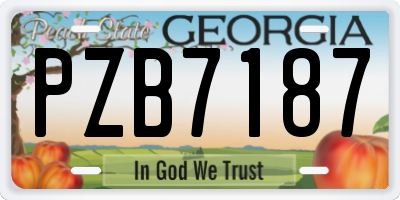 GA license plate PZB7187