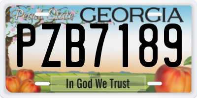 GA license plate PZB7189