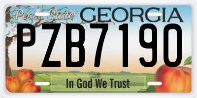 GA license plate PZB7190