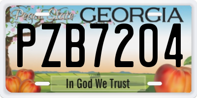 GA license plate PZB7204