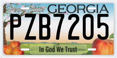 GA license plate PZB7205