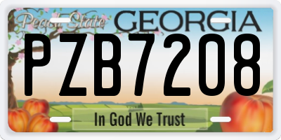 GA license plate PZB7208