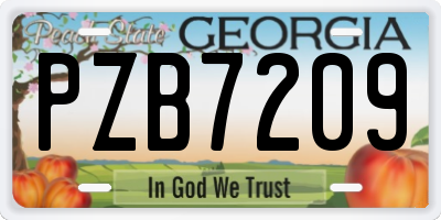 GA license plate PZB7209