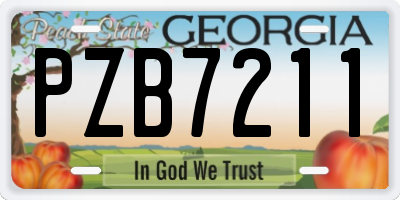 GA license plate PZB7211