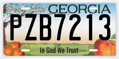 GA license plate PZB7213