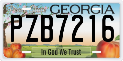 GA license plate PZB7216