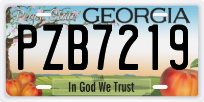 GA license plate PZB7219
