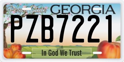 GA license plate PZB7221