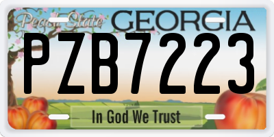 GA license plate PZB7223