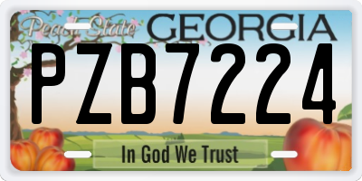 GA license plate PZB7224