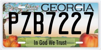 GA license plate PZB7227