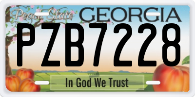 GA license plate PZB7228