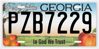 GA license plate PZB7229