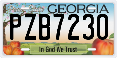 GA license plate PZB7230