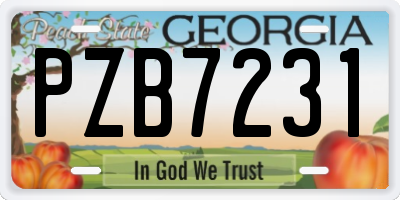 GA license plate PZB7231
