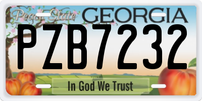GA license plate PZB7232