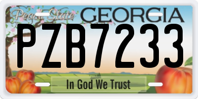 GA license plate PZB7233