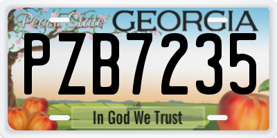GA license plate PZB7235