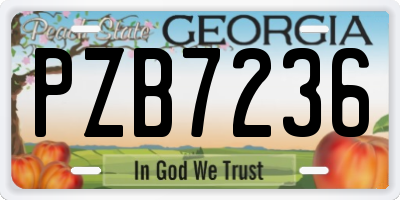 GA license plate PZB7236