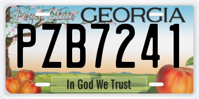 GA license plate PZB7241