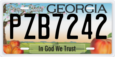 GA license plate PZB7242