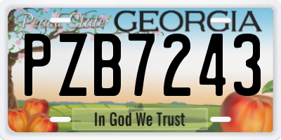GA license plate PZB7243