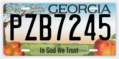 GA license plate PZB7245